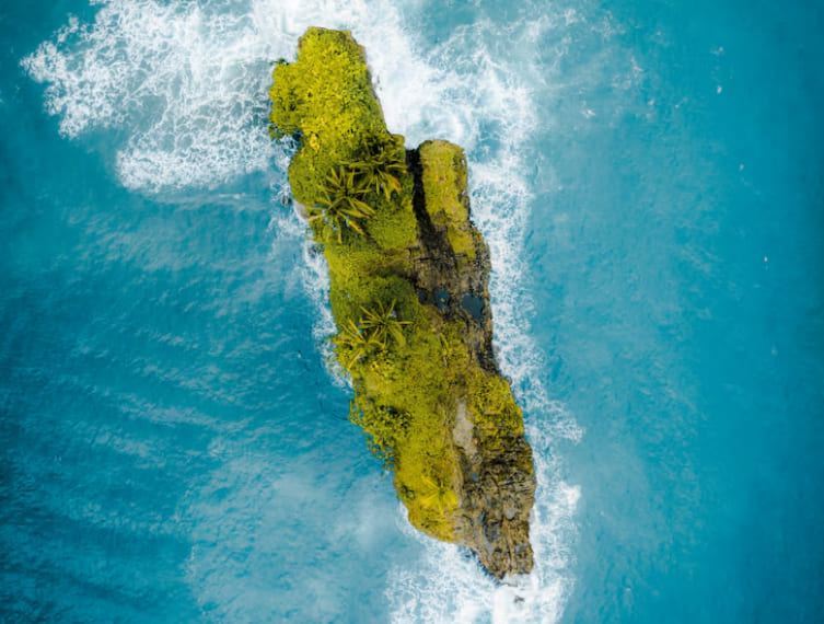 New Zealand BiCupid Community